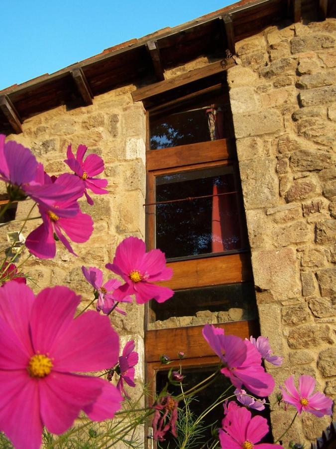 Gite De Chapeleche Les Chataigniers Gluiras Экстерьер фото