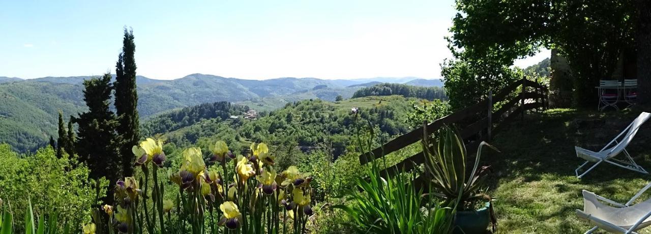 Gite De Chapeleche Les Chataigniers Gluiras Экстерьер фото