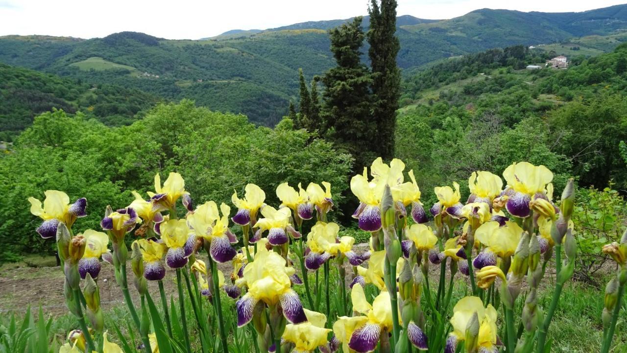 Gite De Chapeleche Les Chataigniers Gluiras Экстерьер фото